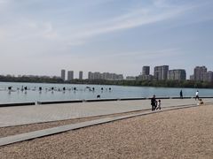-暨阳湖生态园