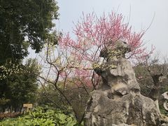 -堤角公园