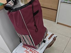 -中国农业大学动物医院