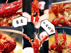-金陵暴走小龙虾·迷踪蟹(凯德MALL店)