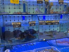 -日照大牌檔•小船海鲜(万平口店)