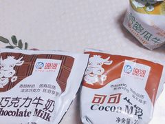 -天津海河华北乳品有限公司