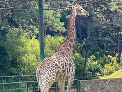 -沈阳森林动物园