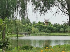 -东郊湿地公园