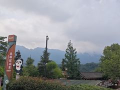 -碧峰峡风景区