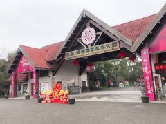 -上海海湾国家森林公园