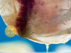 鲜嫩鱼片-正宗石棉烧烤(汉源店)