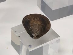 -贝壳王国博物馆