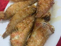 -蛇口康乐快餐鱼仔档(翠苑小区店)