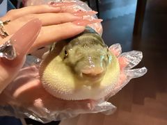 -肆月河豚·淮扬菜·湘菜(华天店)