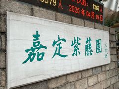 -嘉定紫藤园