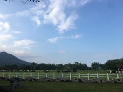 -瑞穗牧场