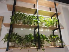 -攀枝花野菜铜火锅(万科凯德店)