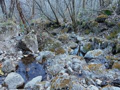 -安吉龙王山风景区