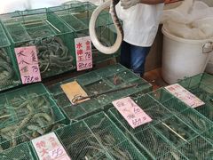 -荔城生鲜盛宴(番禺旗舰店)