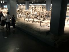 -大庆市博物馆