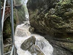 -鹿院坪生态旅游景区