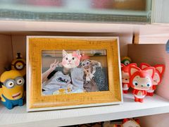 -海底捞火锅(王府井银泰in88店)