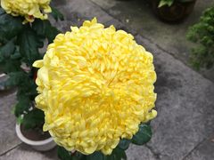 -舟山希尔顿酒店