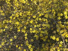 -世纪家家福生活超市(和义西里小区店)