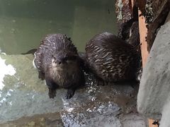 -昆明动物园
