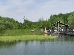 -溱湖国家湿地公园