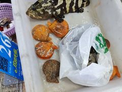 -阿浪海鲜连锁•海鲜加工•老字号(第一市场店)