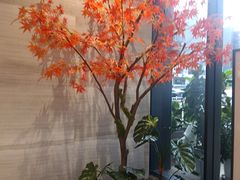 -唐宫足道·SPA·住宿24H会所(木渎店)