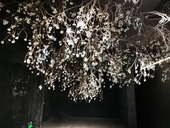 -嘉善老市