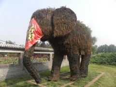 -莲花池公园