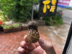 -蘑统田下·野生菌火锅