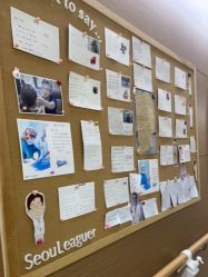 -上海首尔丽格医疗美容医院