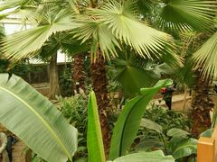 -石家庄市植物园