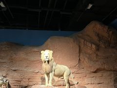 -浙江自然博物院(杭州馆)