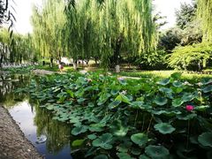 -丰台科技园生态主题公园