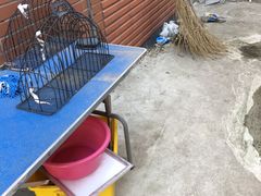 -北京恒爱动物医院(清景园分院)