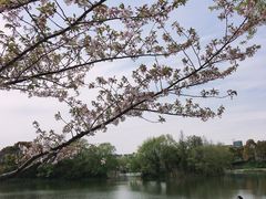 -新江湾城公园