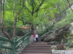 -佛慧山