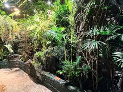 -漫·汤泉