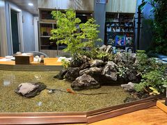 -森味薪火烧•烧鸟居酒屋•日本料理(望京店)
