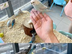 -怪兽屋·羊驼·猫咖·狗咖(俊华广场店)