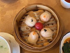 -红燕阁·精品琼菜·粤式早茶·囍宴(红燕堂酒店)