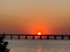 -宝安西湾红树林湿地公园