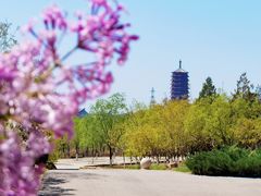 -永定河休闲森林公园