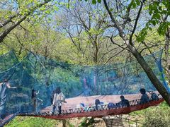 -沂蒙山旅游区云蒙景区(蒙山国家森林公园)