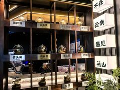 -芸山季·云南野生菌火锅(人民广场来福士店)