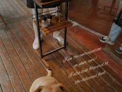 -安立可意大利美食