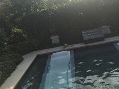 -苏州湾王焰温泉度假酒店
