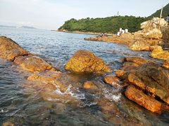 -杨梅坑