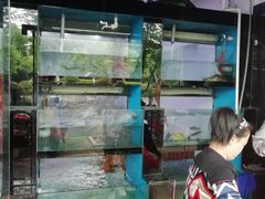 -全乐鱼馆·淳牌有机鱼直营店